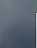 DK2101 DK2101